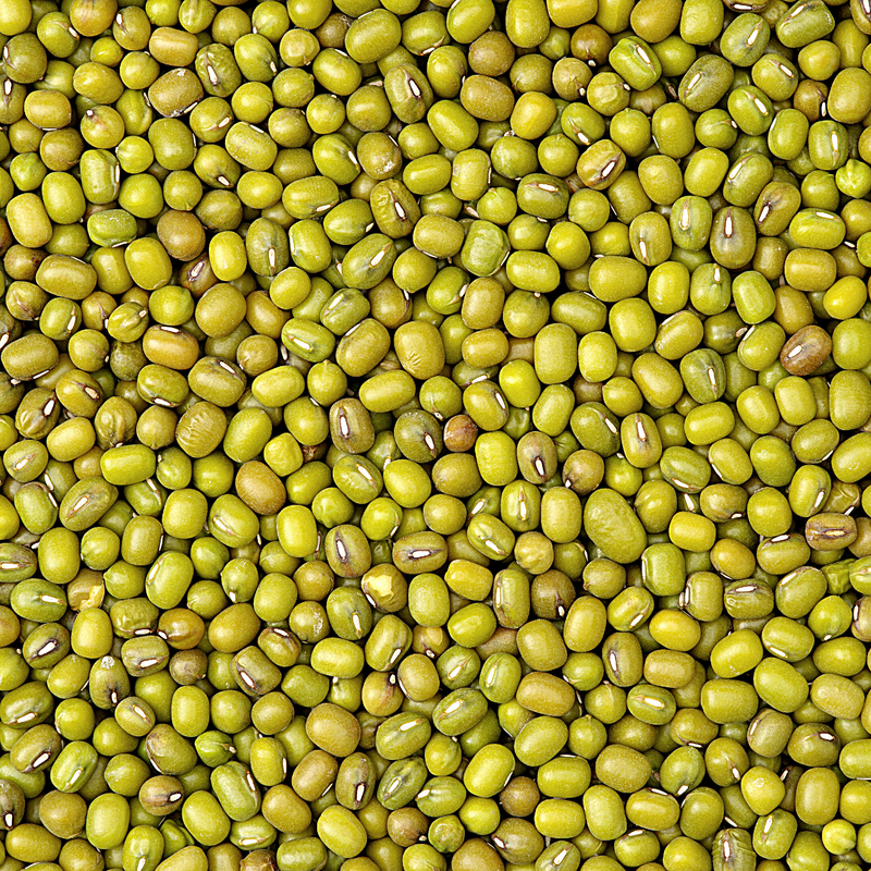 Kacang Hijau 500g