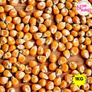 Premium Popcorn Mushroom